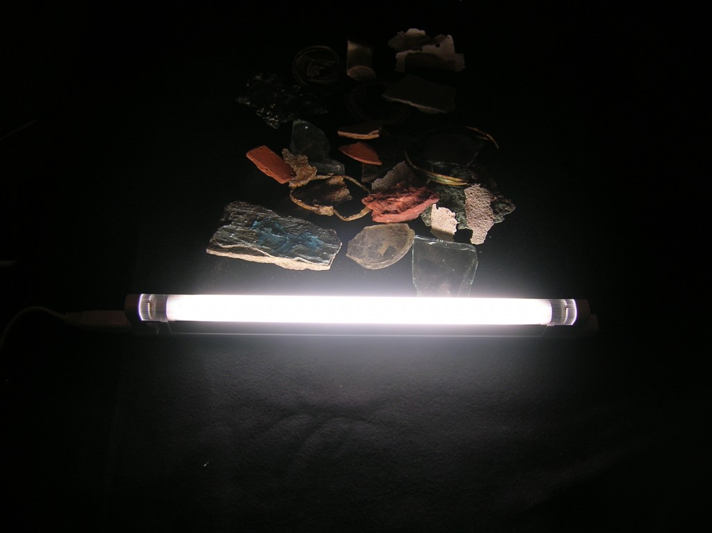 DSCN6613